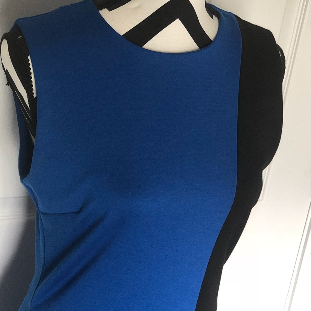 Sheath Dress - Picture 4 of 5